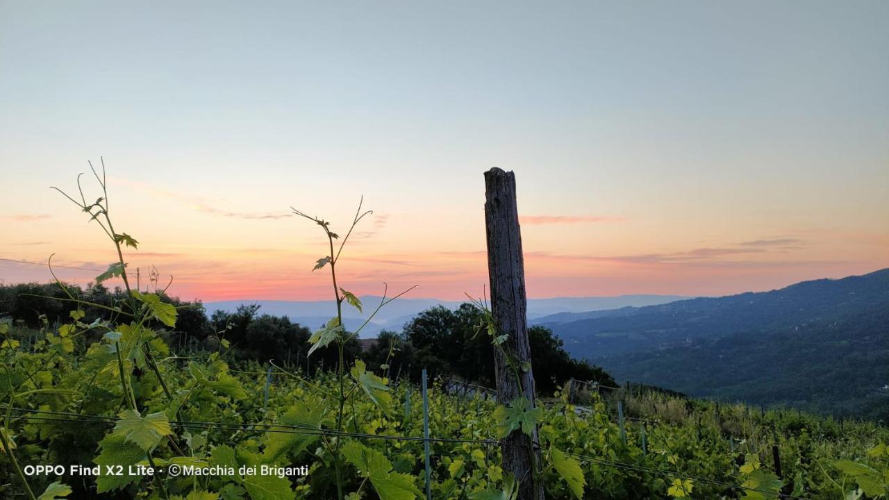 Agriturismo Macchia Dei Briganti - B&B Montefalcione Buitenkant foto
