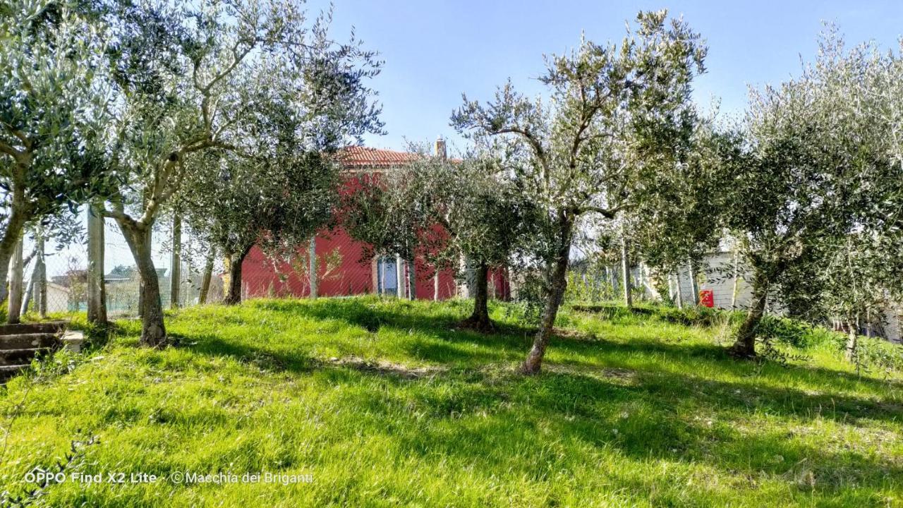 Agriturismo Macchia Dei Briganti - B&B Montefalcione Buitenkant foto