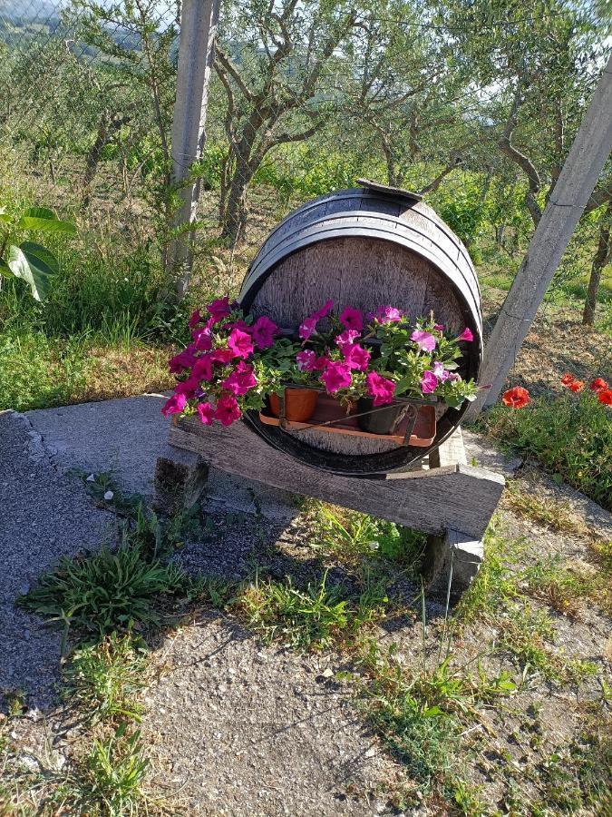 Agriturismo Macchia Dei Briganti - B&B Montefalcione Buitenkant foto