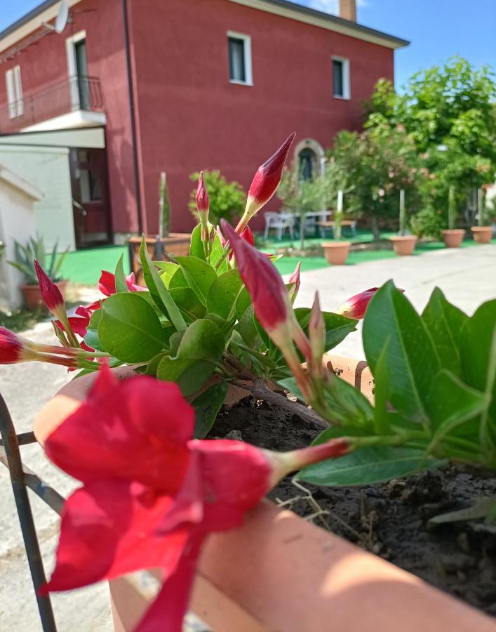Agriturismo Macchia Dei Briganti - B&B Montefalcione Buitenkant foto